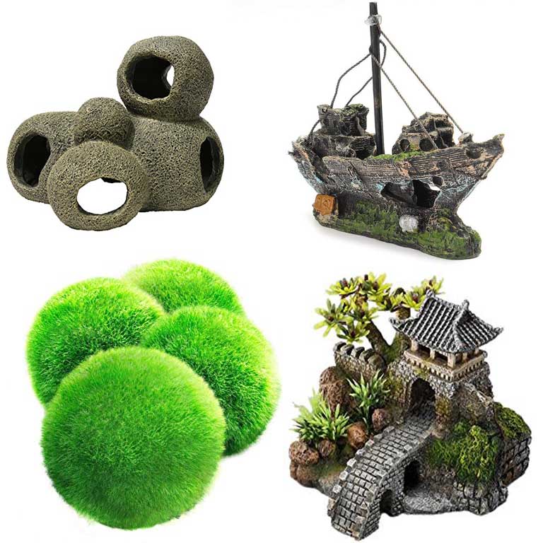 Shop Pet Fish Supplies UK Keeping Fish