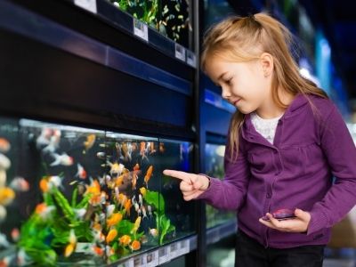 What To Look For When Buying Your First Pet Fish