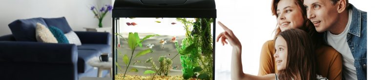 what is a nano fish tank